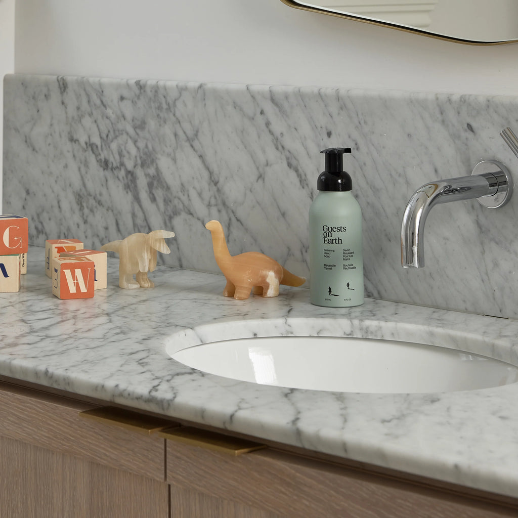 Foaming Hand Soap | Guests on Earth
