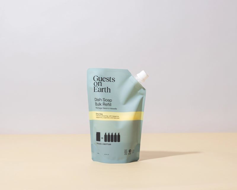 Dish Soap Bulk Refill Bag | Guests on Earth